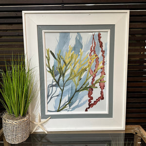 Framed Sea Life I