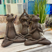 Load image into Gallery viewer, Yoga Frog III
