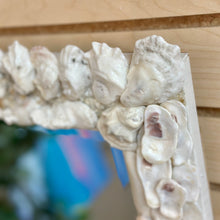Load image into Gallery viewer, Handmade Shell Mirror
