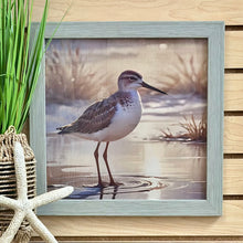 Load image into Gallery viewer, Sandpiper On Shore I
