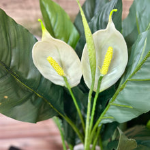 Load image into Gallery viewer, Faux Peace Lily In Pot
