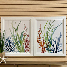 Load image into Gallery viewer, Colorful Sealife I Giclee Art
