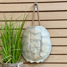 Load image into Gallery viewer, White Turtle Shell Decor
