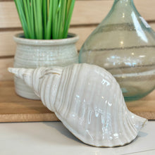 Load image into Gallery viewer, Ivory Ceramic Shell
