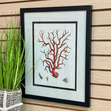 Load image into Gallery viewer, Framed Coral Art I
