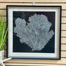 Load image into Gallery viewer, Framed Silver Coral
