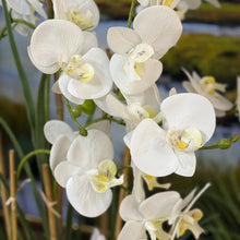 Load image into Gallery viewer, Tall Faux Orchid In Pot

