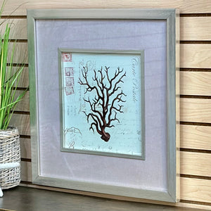 Silver Framed Sea Life