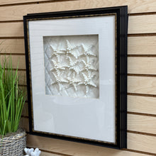 Load image into Gallery viewer, Paragon Starfish Shadowbox II
