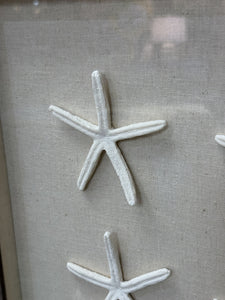 Starfish Shawdowbox