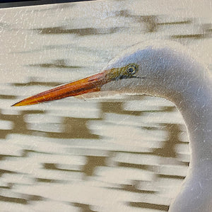 Reflective Shorebird Art