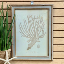 Load image into Gallery viewer, Seafan I Art
