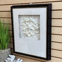 Load image into Gallery viewer, Paragon Starfish Shadowbox I
