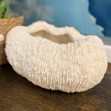 Load image into Gallery viewer, Coral Planter
