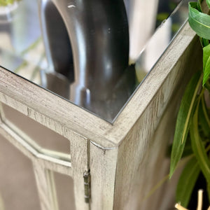 3DR Mirrored Cabinet