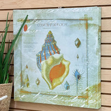 Load image into Gallery viewer, Shell Canvas Art
