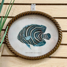 Load image into Gallery viewer, Oval Fish Print II Art
