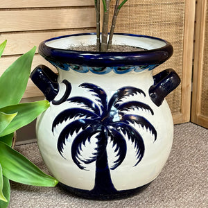 Palm In Pot