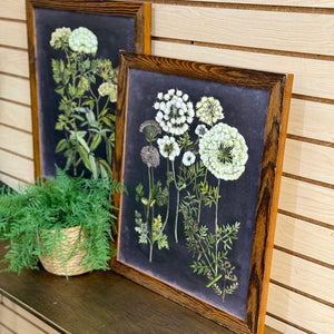 Framed Wildflower Art I