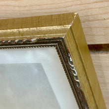 Load image into Gallery viewer, Silver Framed Botanical III
