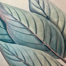 Load image into Gallery viewer, Green Leaf Art II
