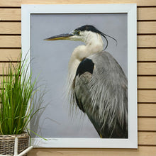 Load image into Gallery viewer, Left Lookout Heron Giclee
