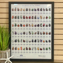 Load image into Gallery viewer, 'Les Aromes Du Vin' Art

