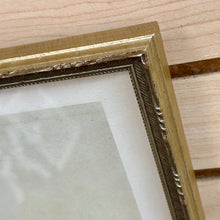 Load image into Gallery viewer, Silver Framed Botanical II
