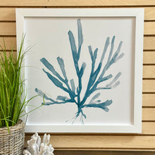 Load image into Gallery viewer, Blue Sea Plant I
