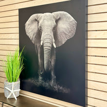 Load image into Gallery viewer, Elephant Canvas
