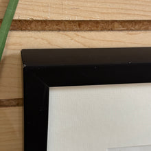 Load image into Gallery viewer, Shell II Art
