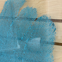 Load image into Gallery viewer, LG Glass Framed Sea Fan
