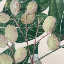 Load image into Gallery viewer, Gold Framed Botanical III
