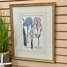 Load image into Gallery viewer, Gold Framed Irises II
