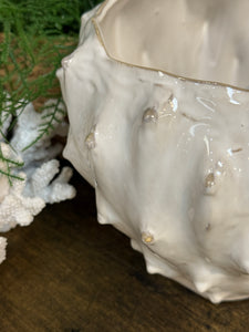White Cactus Planter