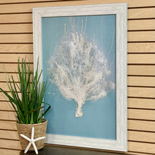 Load image into Gallery viewer, Aqua Sea Fan II Giclee
