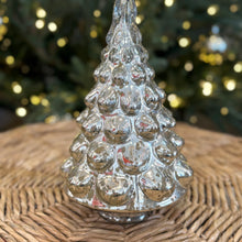 Load image into Gallery viewer, PB SM Glass Tree Cloche
