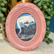 Load image into Gallery viewer, Audubon Art Magnet
