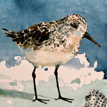 Load image into Gallery viewer, SM Sandpiper I
