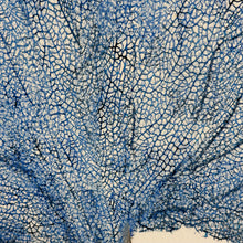 Load image into Gallery viewer, Blue Seafan II
