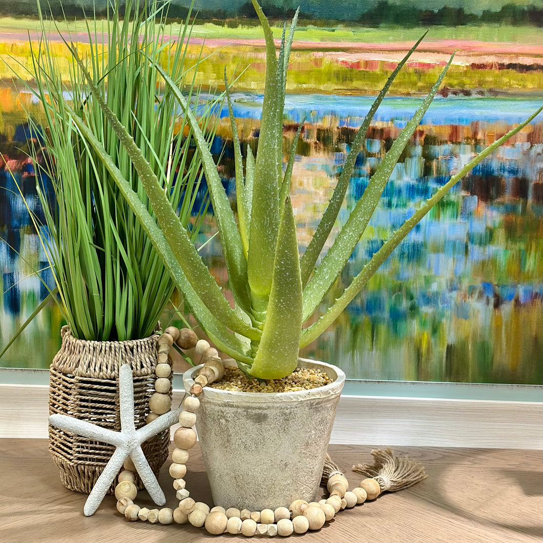 Faux Aloe In Grey Pot