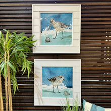 Load image into Gallery viewer, Glass Framed Sandpiper II
