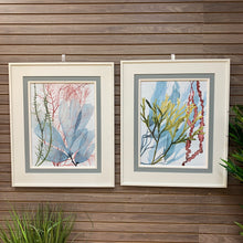 Load image into Gallery viewer, Framed Seaweed II
