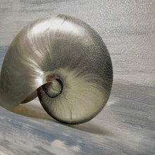 Load image into Gallery viewer, Grey Shell Art II
