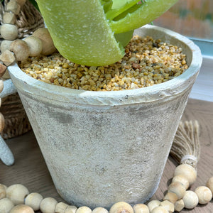 Faux Aloe In Grey Pot