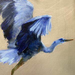 Blue Marsh Bird In Flight II