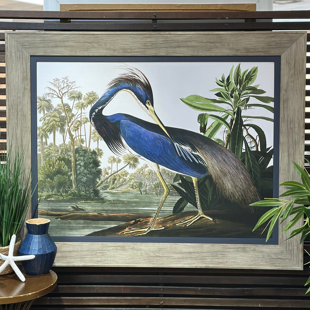 'Louisiana Heron' Fine Art Giclee