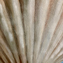 Load image into Gallery viewer, Coastal Shell I Art

