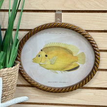 Load image into Gallery viewer, Oval Fish Print IV Art
