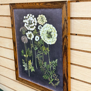 Framed WildFlower Art II